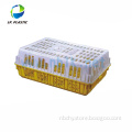 Plastic transport cage for chicken